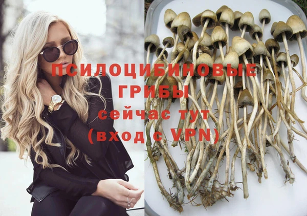 гидропоника Алексин