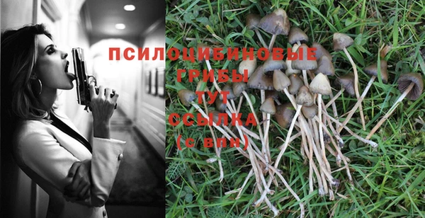 гидропоника Алексин
